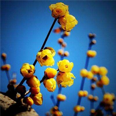 三亿体育app平台