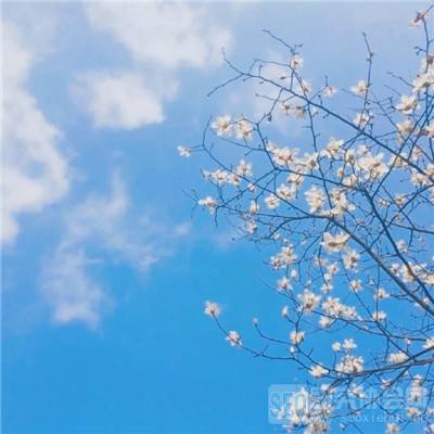 熊猫娱乐app手机app下载截图