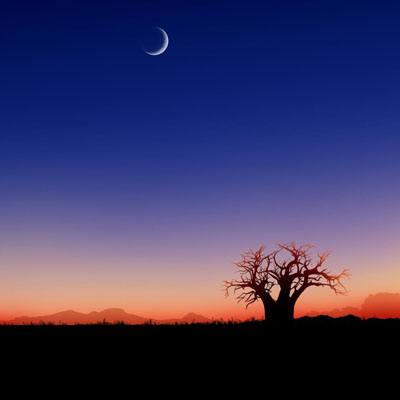 乐彩彩票welcome手机app下载