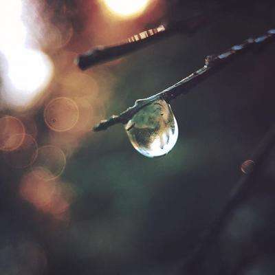 大发彩票app下载