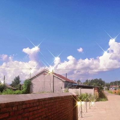 乐鱼官方手机app下载